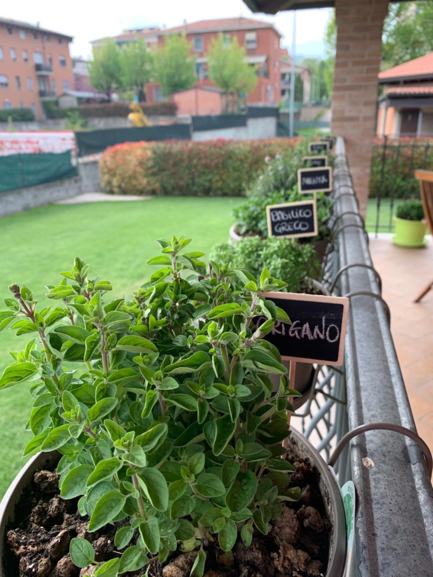 Appartamento Con Giardino Pontecchio Marconi Екстериор снимка