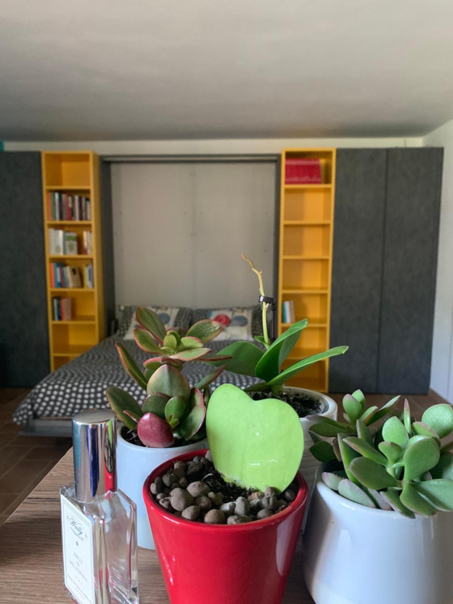 Appartamento Con Giardino Pontecchio Marconi Екстериор снимка